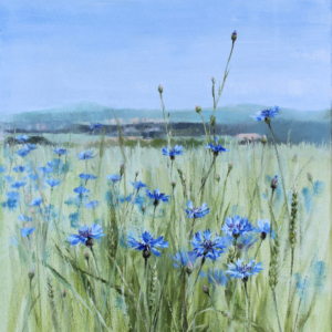 Cornfield in the Müglitz Valley (40 x 50 cm))