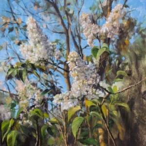 Lilac in morning light 40x50 cm oil on canvas