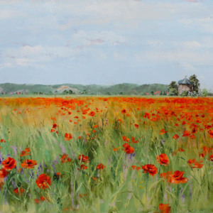 Poppy field at the Bosel (Sold)